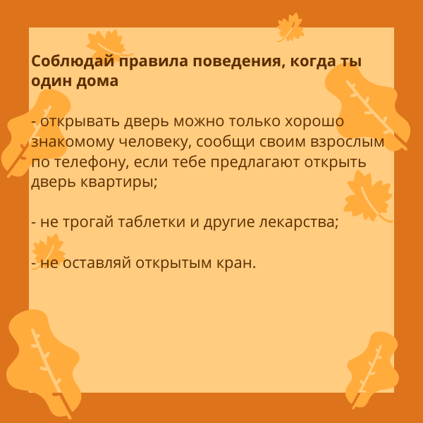 image_7750767_15075498.png